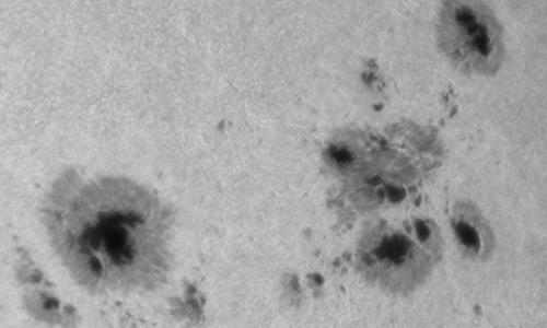 2023年7月2日の黒点（活動領域13354）