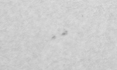 2023年7月2日の黒点（活動領域13355）