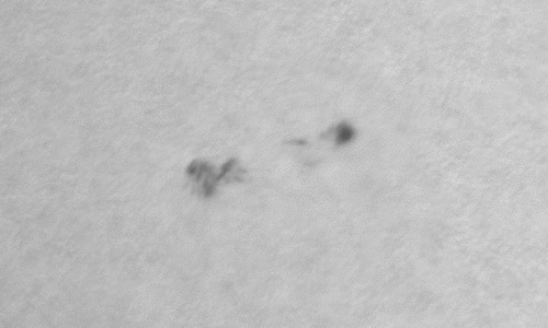 2023年7月2日の黒点（活動領域13357）