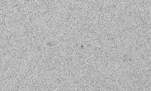 2023年7月4日の黒点（活動領域13356）