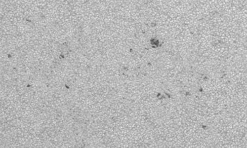 2023年7月5日の黒点（活動領域13358）