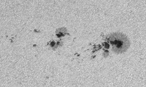 2023年7月7日の黒点（活動領域13361）