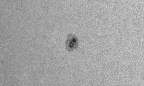 2023年7月7日の黒点（活動領域13362）