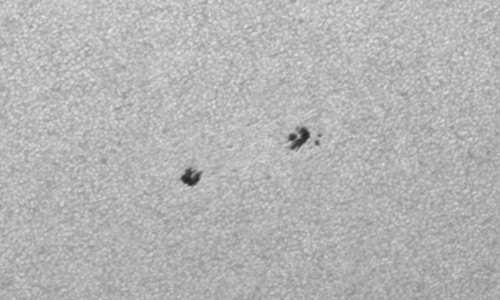 2023年7月7日の黒点（活動領域13365）