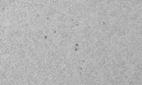 2023年7月8日の黒点（活動領域13358）