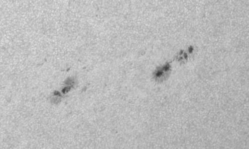 2023年7月8日の黒点（活動領域13359）