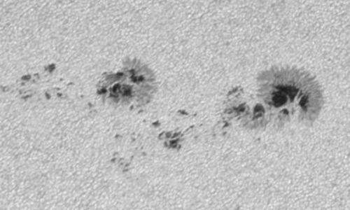 2023年7月8日の黒点（活動領域13361）