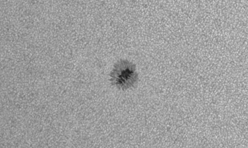 2023年7月8日の黒点（活動領域13362）