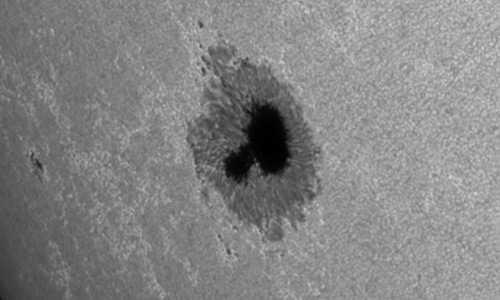 2023年7月8日の黒点（活動領域13363）