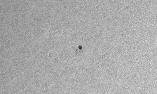 2023年7月8日の黒点（活動領域13364）