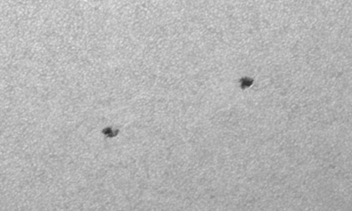 2023年7月8日の黒点（活動領域13365）