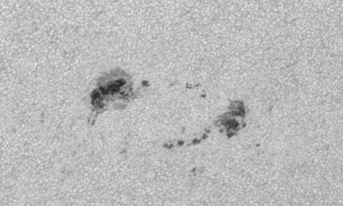 2023年7月8日の黒点（活動領域13366）