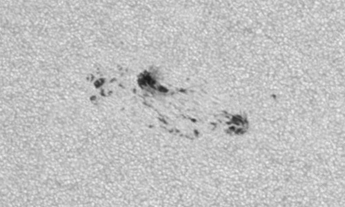 2023年7月9日の黒点（活動領域13367）