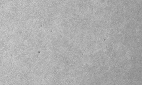 2023年7月9日の黒点（活動領域13358）