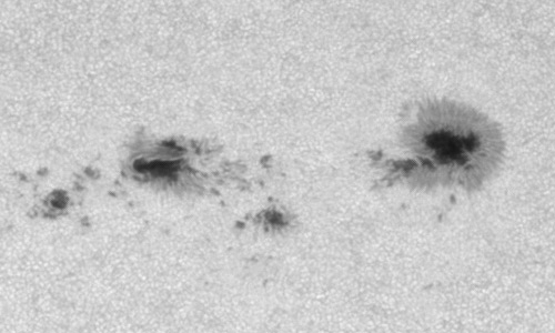 2023年7月9日の黒点（活動領域13361）