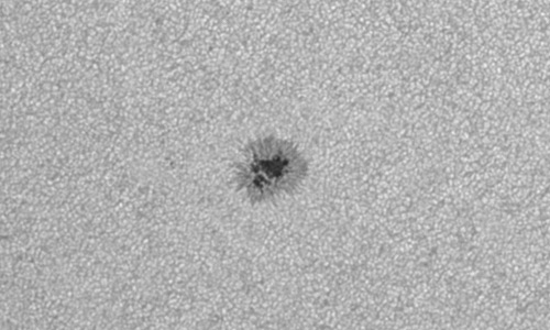 2023年7月9日の黒点（活動領域13362）