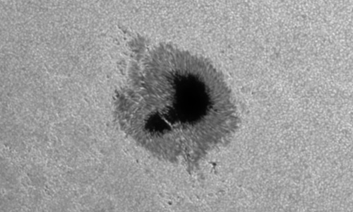 2023年7月9日の黒点（活動領域13363）