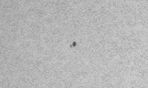 2023年7月9日の黒点（活動領域13364）