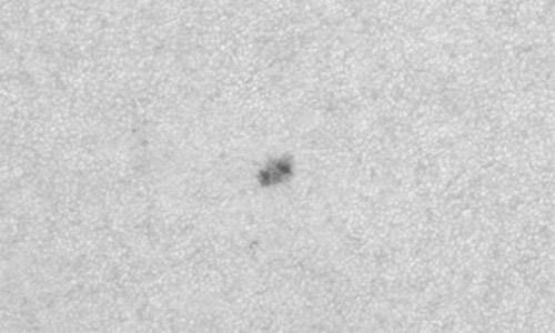 2023年7月19日の黒点（活動領域13374）