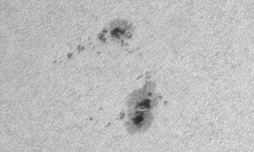 2023年7月19日の黒点（活動領域13376）