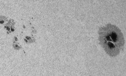 2023年7月21日の黒点（活動領域13372）