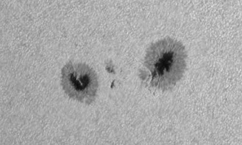 2023年7月21日の黒点（活動領域13377）