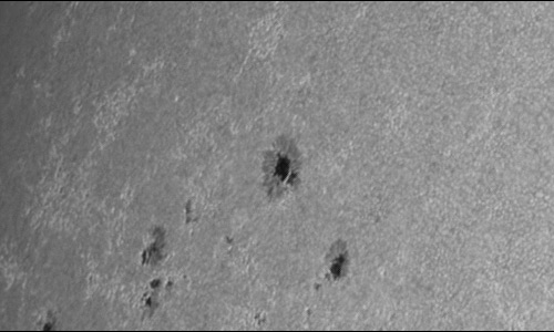 2023年7月21日の黒点（活動領域13382）