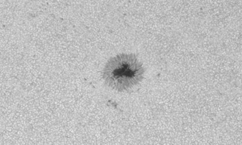 2023年7月22日の黒点（活動領域13376）