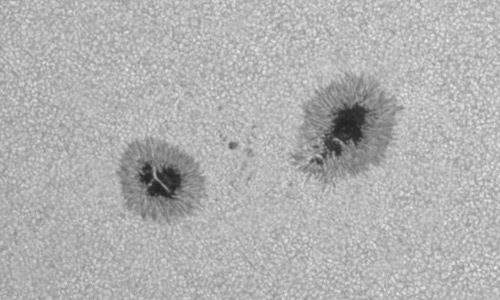 2023年7月22日の黒点（活動領域13377）