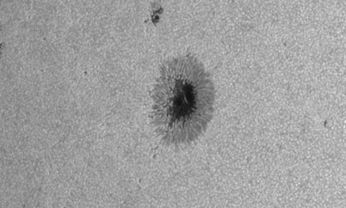 2023年7月22日の黒点（活動領域13379）