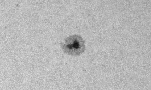 2023年7月23日の黒点（活動領域13376）