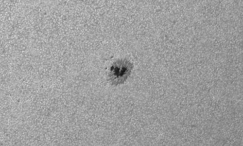 2023年7月23日の黒点（活動領域13378）