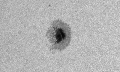 2023年7月23日の黒点（活動領域13379）