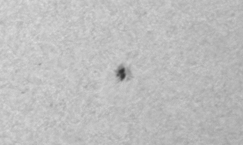 2023年7月27日の黒点（活動領域13385）