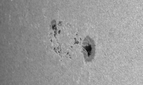 2023年7月27日の黒点（活動領域13386）