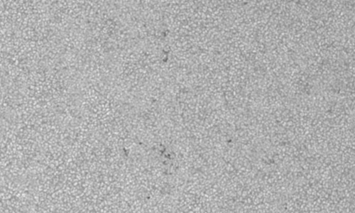 2023年7月28日の黒点（活動領域13383）