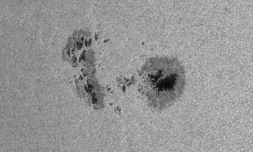 2023年7月28日の黒点（活動領域13386）