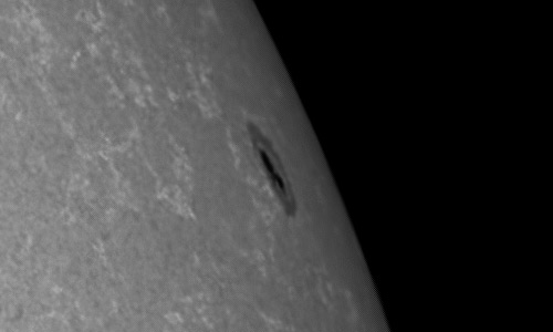 2023年7月31日の黒点（活動領域13379）