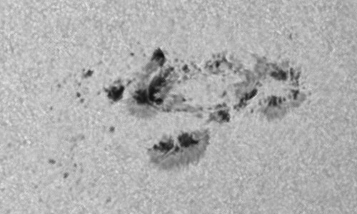 2023年7月31日の黒点（活動領域13380）