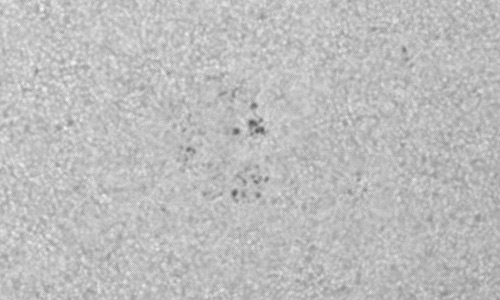 2023年7月31日の黒点（活動領域13384）