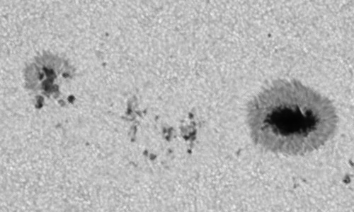 2023年7月31日の黒点（活動領域13386）