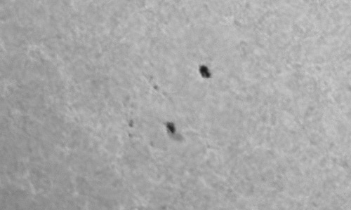 2023年7月31日の黒点（活動領域13390）