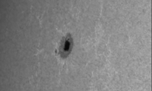 2023年7月31日の黒点（活動領域13391）