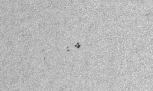 2023年8月1日の黒点（活動領域13393）