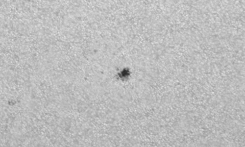 2023年8月1日の黒点（活動領域13388）