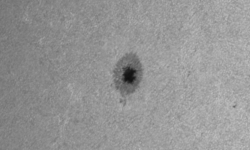 2023年8月1日の黒点（活動領域13391）