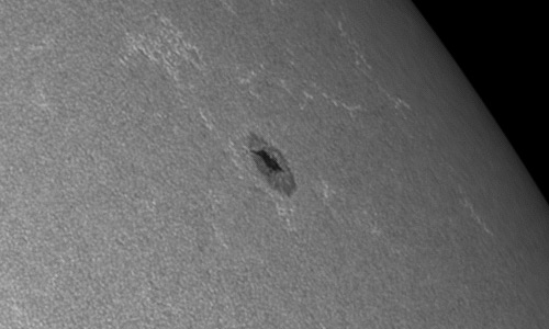 2023年8月10日の黒点（活動領域13391）