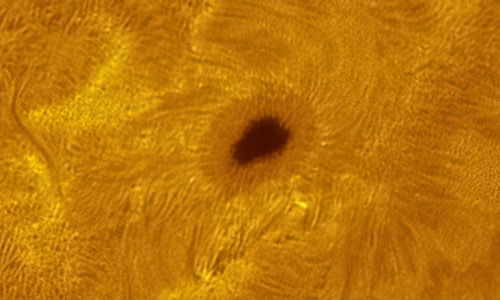 2023年8月10日の活動領域13394