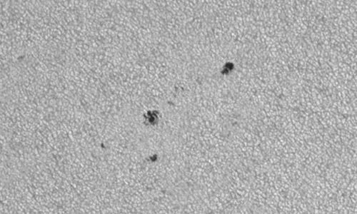 2023年8月11日の黒点（活動領域13397）