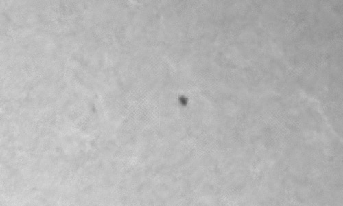 2023年8月12日の黒点（活動領域13401）